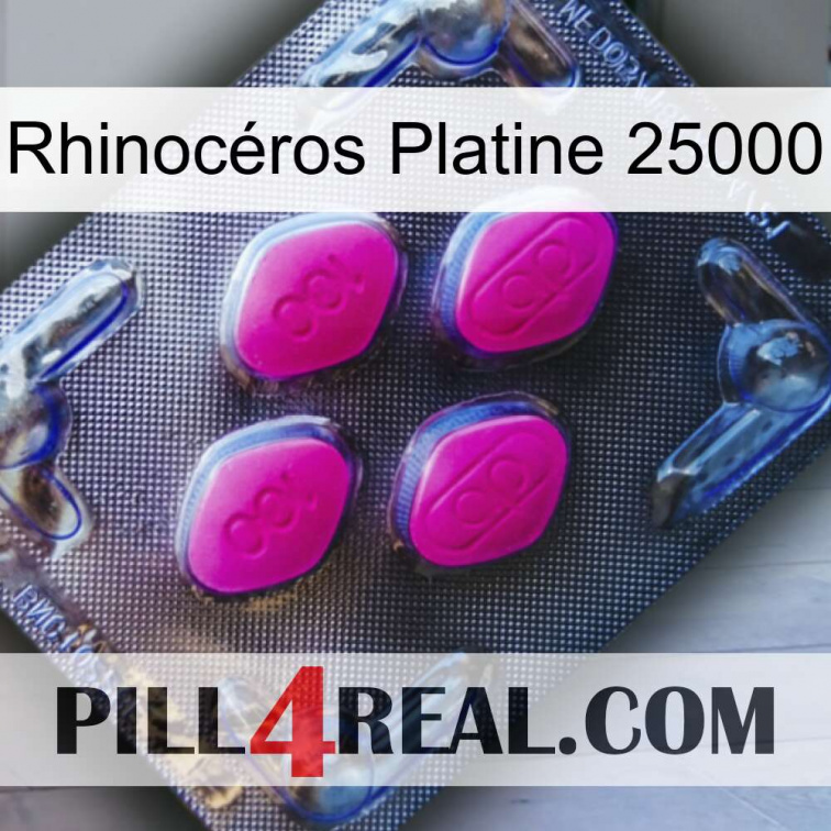 Rhinocéros Platine 25000 02